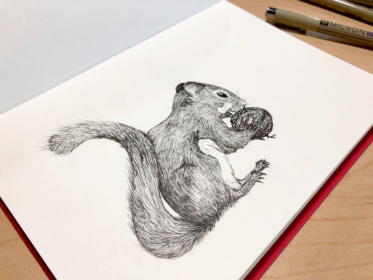design + illustration services