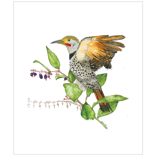 quel quel stik - flicker - art print