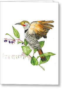 Flicker On Salal - Greeting Card