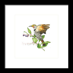 Flicker On Salal - Framed Print