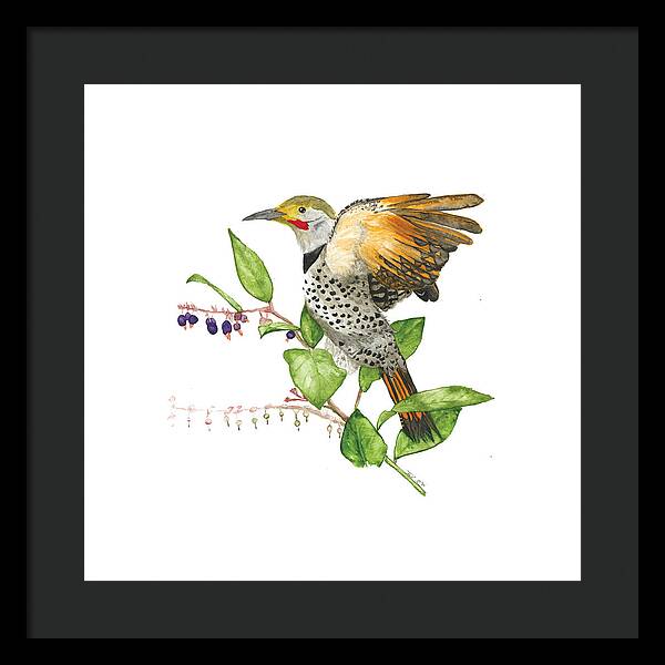 Flicker On Salal - Framed Print