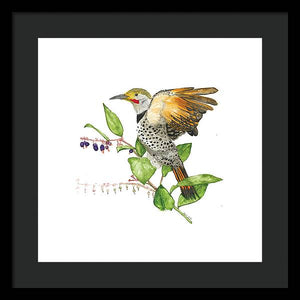 Flicker On Salal - Framed Print