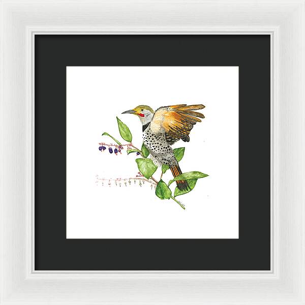 Flicker On Salal - Framed Print