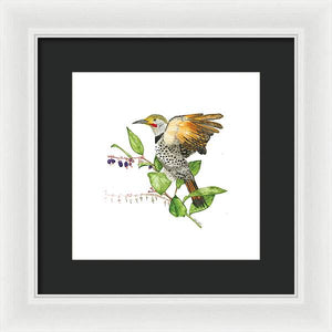 Flicker On Salal - Framed Print