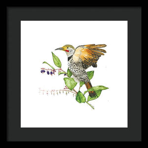 Flicker On Salal - Framed Print