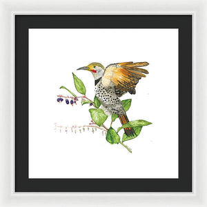 Flicker On Salal - Framed Print