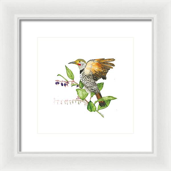 Flicker On Salal - Framed Print