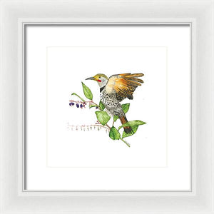 Flicker On Salal - Framed Print