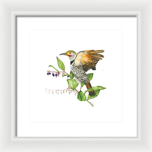 Flicker On Salal - Framed Print