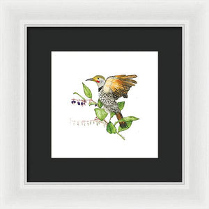 Flicker On Salal - Framed Print