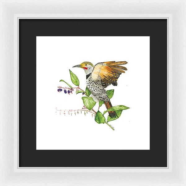 Flicker On Salal - Framed Print