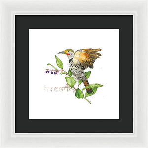 Flicker On Salal - Framed Print