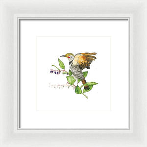 Flicker On Salal - Framed Print