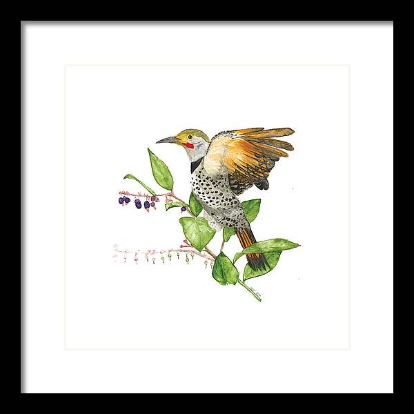 Flicker On Salal - Framed Print