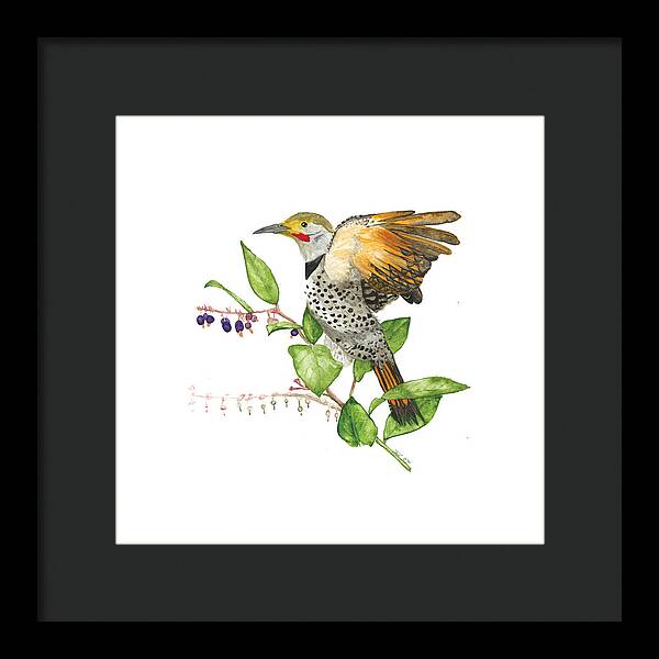 Flicker On Salal - Framed Print